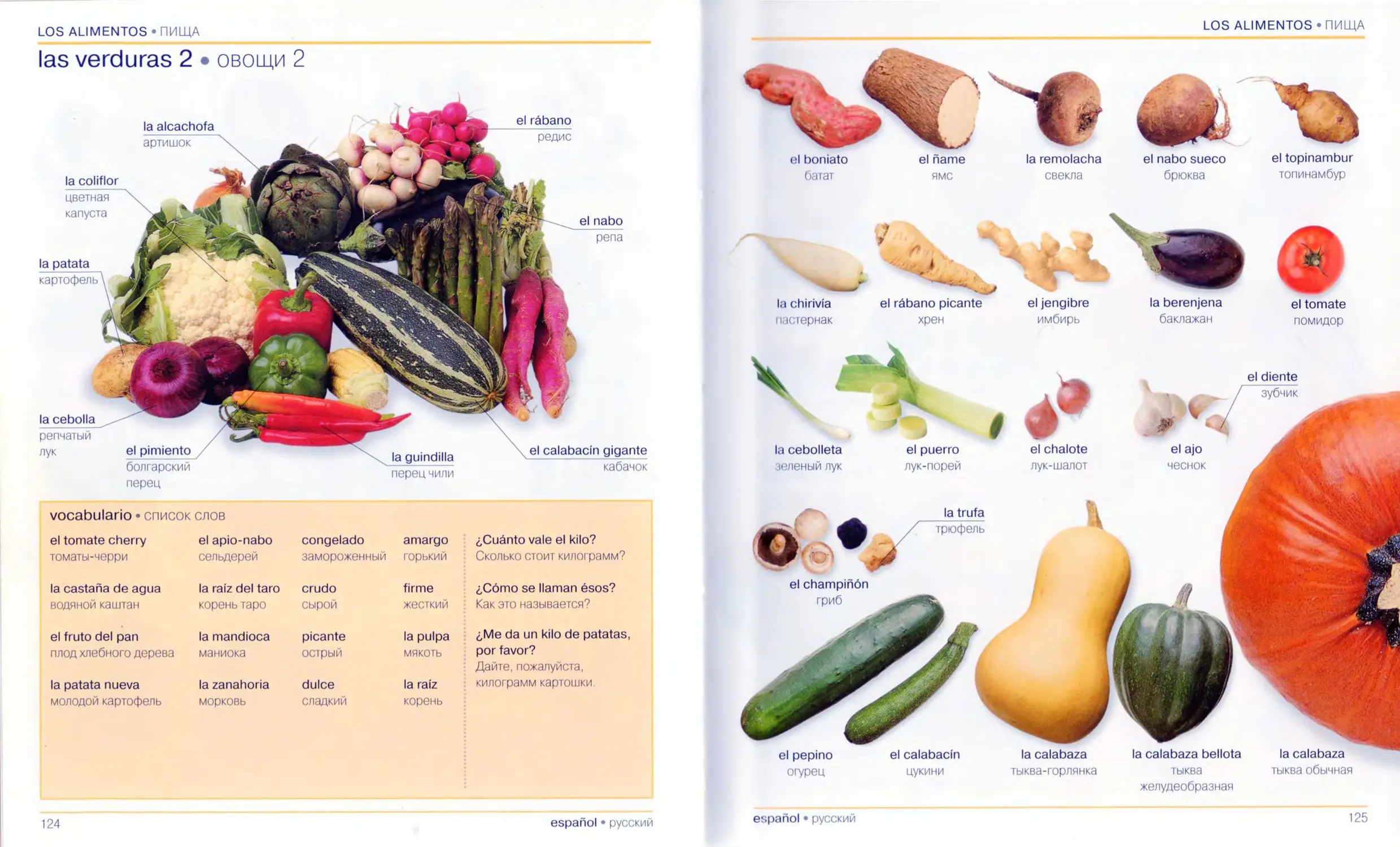 Овощи по испанскому языку