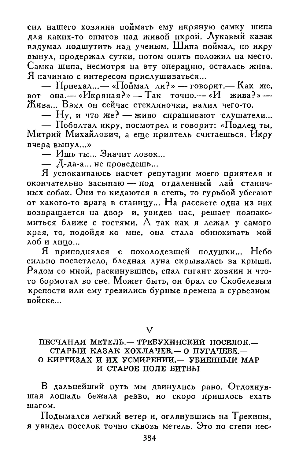 V. ПЕСЧАНАЯ МЕТЕЛЬ.—ТРЕБУХИНСКИЙ ПОСЕЛОК.—СТАРЫЙ КАЗАК ХОХЛАЧЕВ.—О ПУГАЧЕВЕ.—О КИРГИЗАХ И ИХ УСМИРЕНИИ.—УБИЕННЫЙ МАР И СТАРОЕ ПОЛЕ БИТВЫ