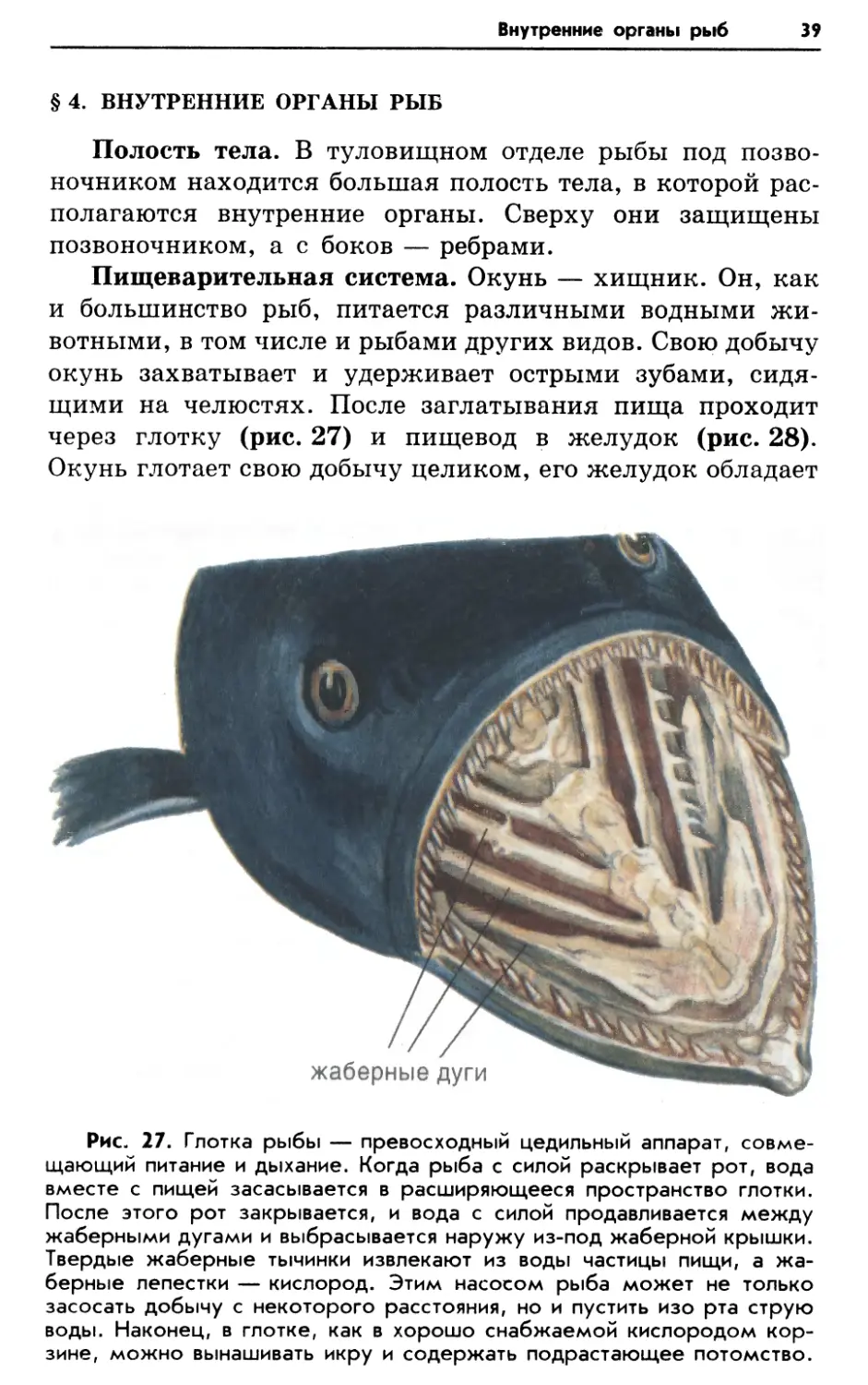 § 4. Внутренние органы рыб