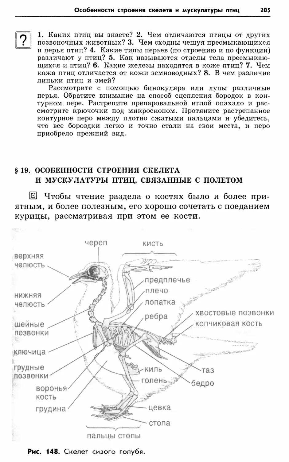 § 19. Особенности строения скелета и мускулатуры птиц, связанные с полетом