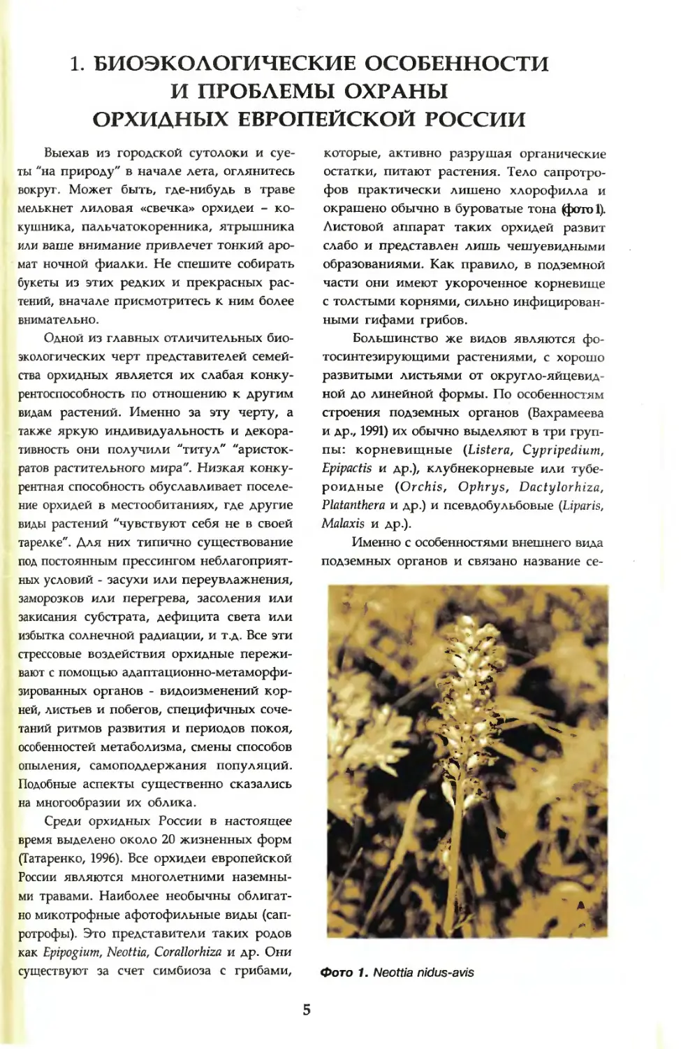 1. Биоэкологические особенности и проблемы охраны орхидных европейской России