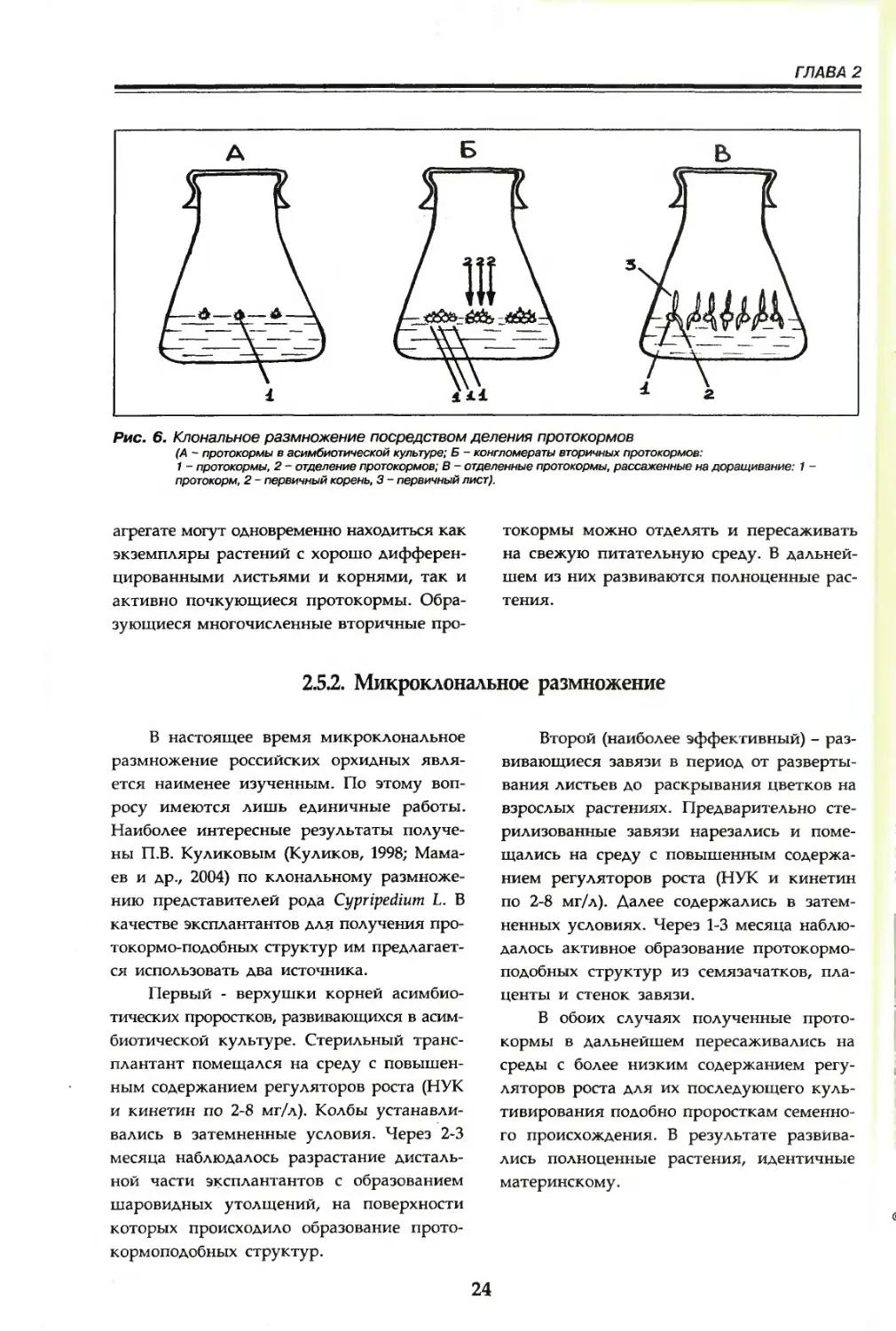 2.5.2. Микроклональное размножение