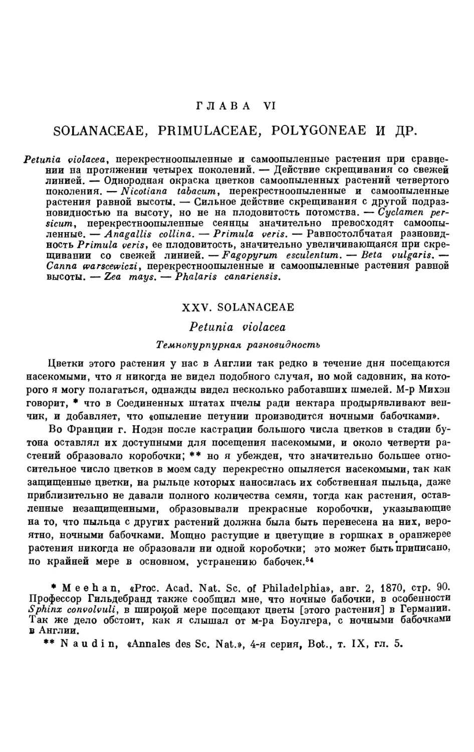 VI. Solanaceae, Primulaceae, Polygoneae и др.