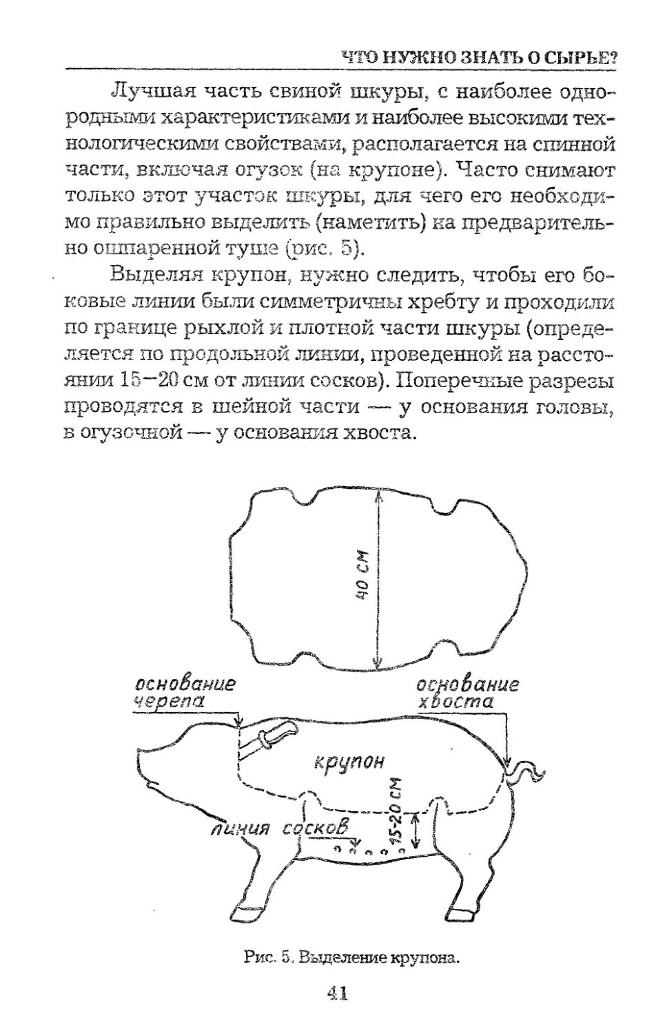 Ослиная шкура составить план