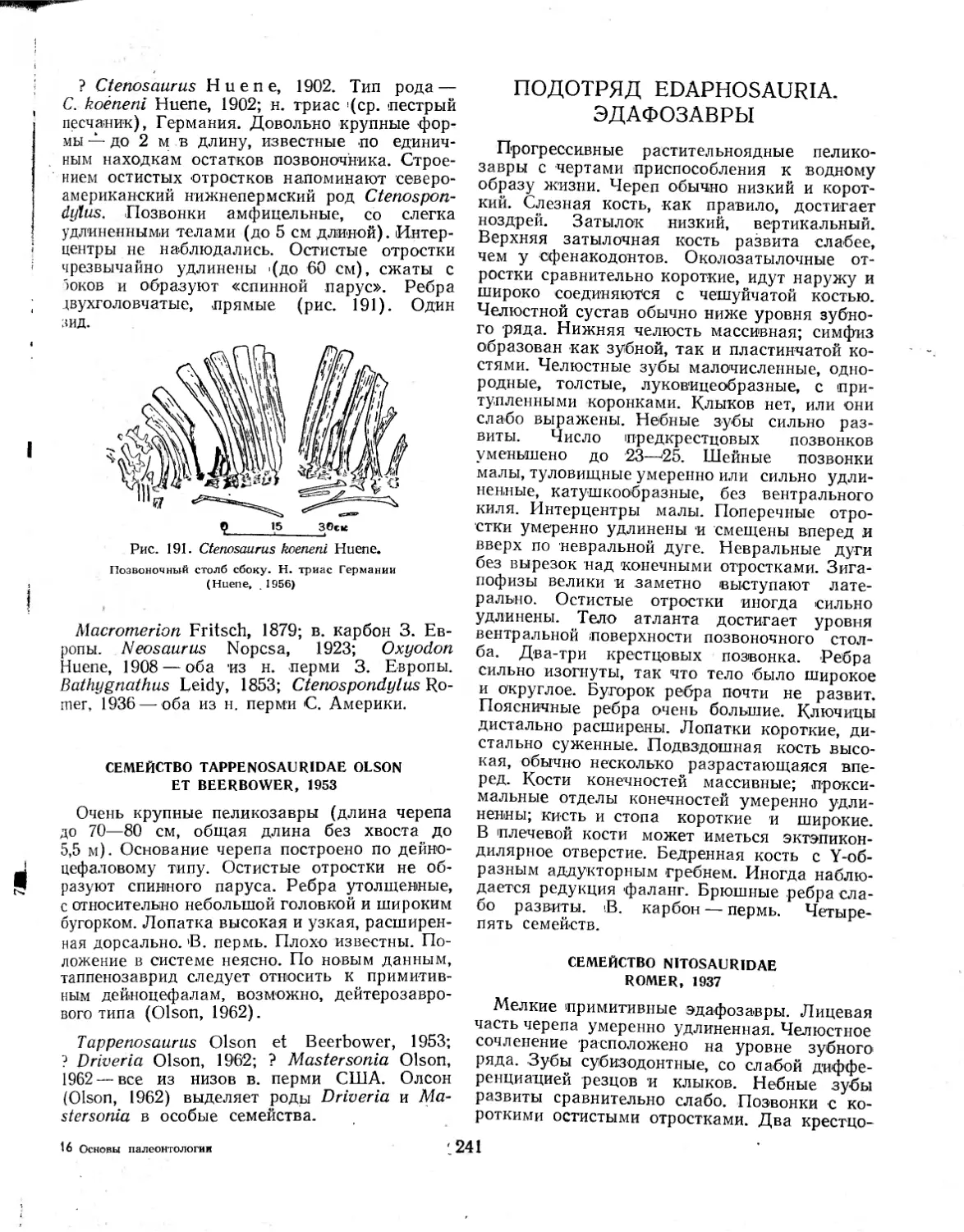 ПОДОТРЯД EDAPHOSAURIA. ЭДАФОЗАВРЫ