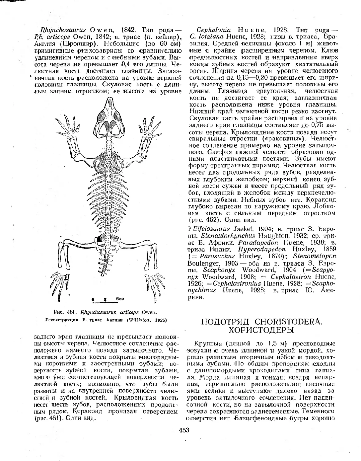 ПОДОТРЯД CHORISTODERA. ХОРИСТОДЕРЫ