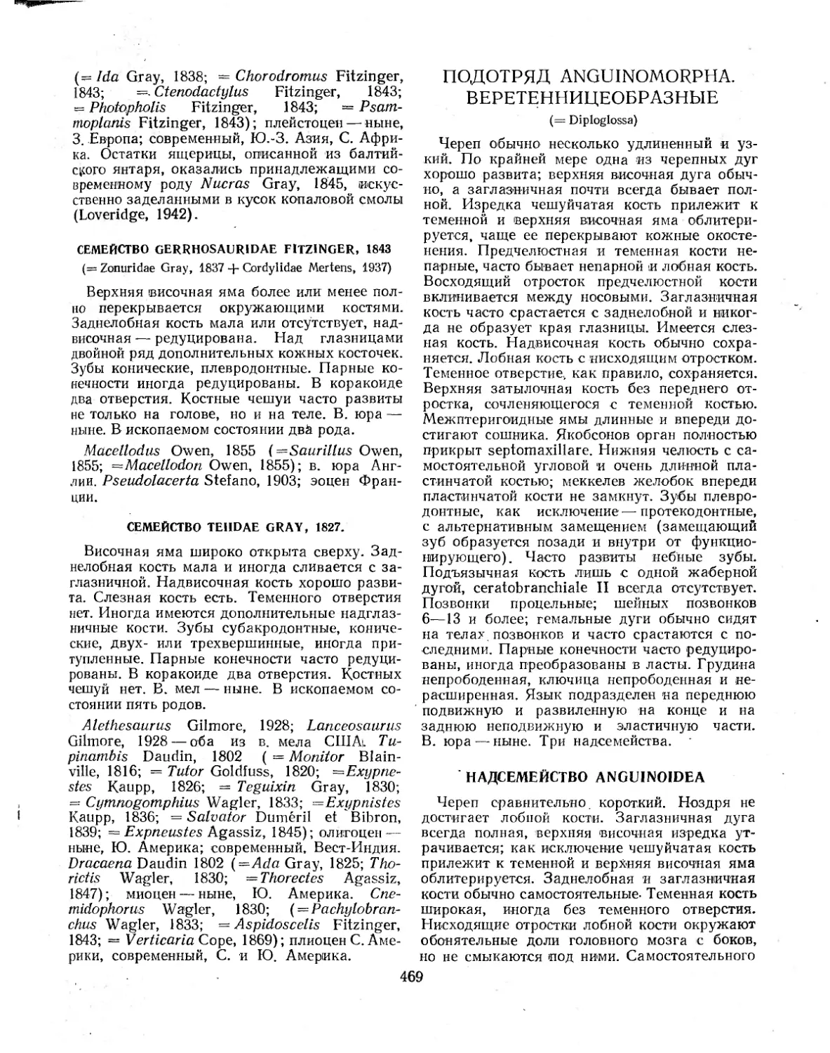 ПОДОТРЯД ANGUINOMORPHA. ВЕРЕТЕНИЦЕОБРАЗНЫЕ