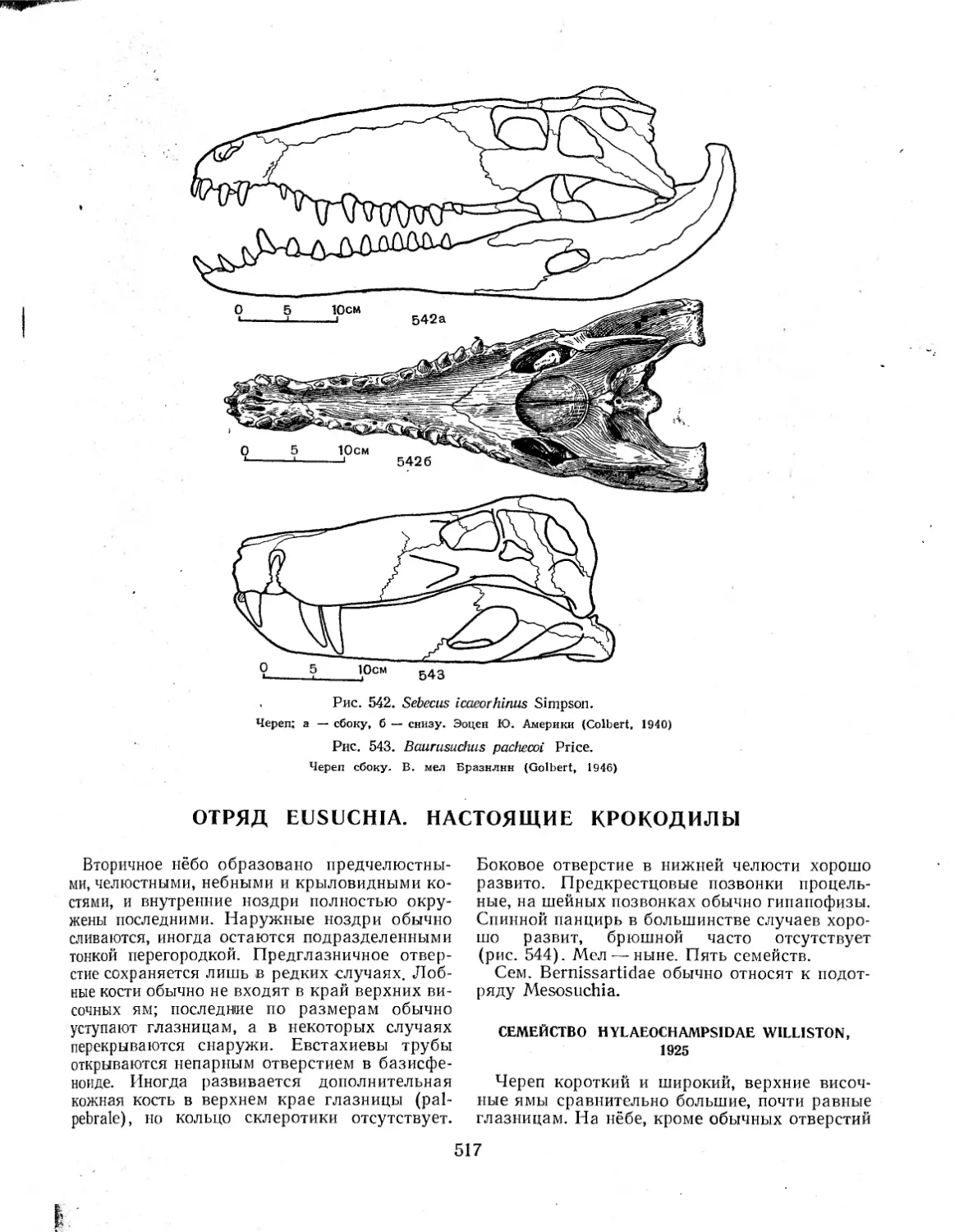 ОТРЯД EUSUCHIA. НАСТОЯЩИЕ КРОКОДИЛЫ