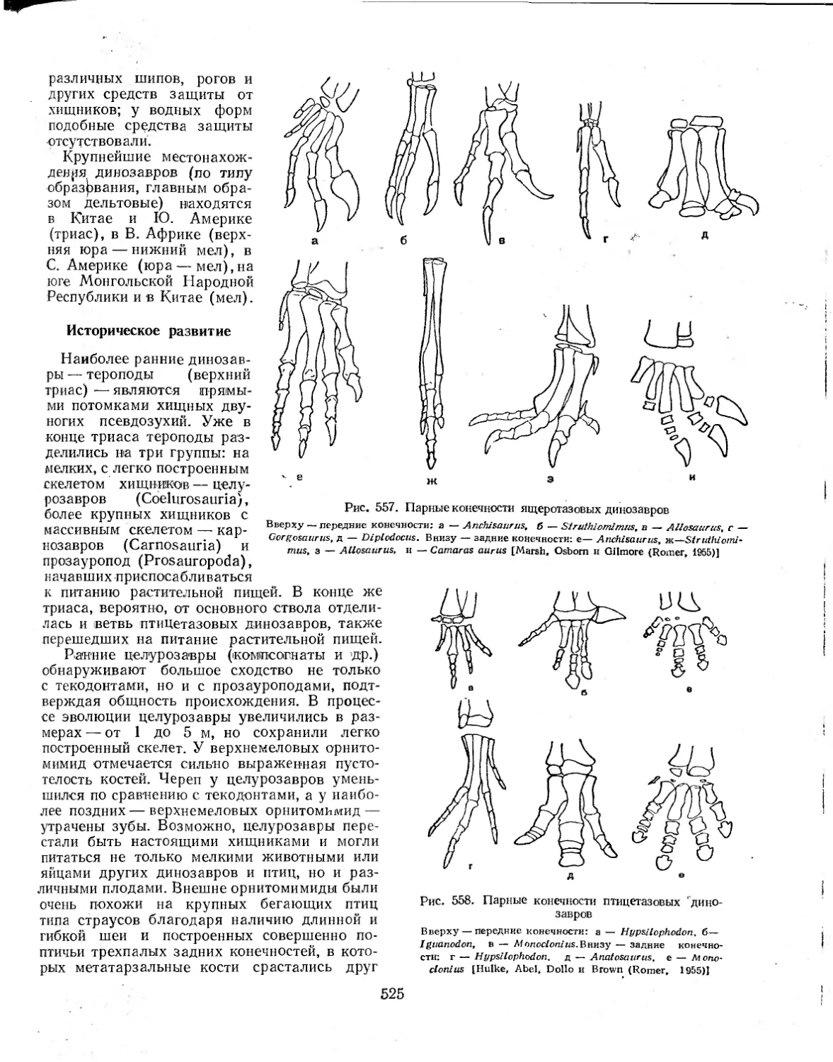 Историческое развитие