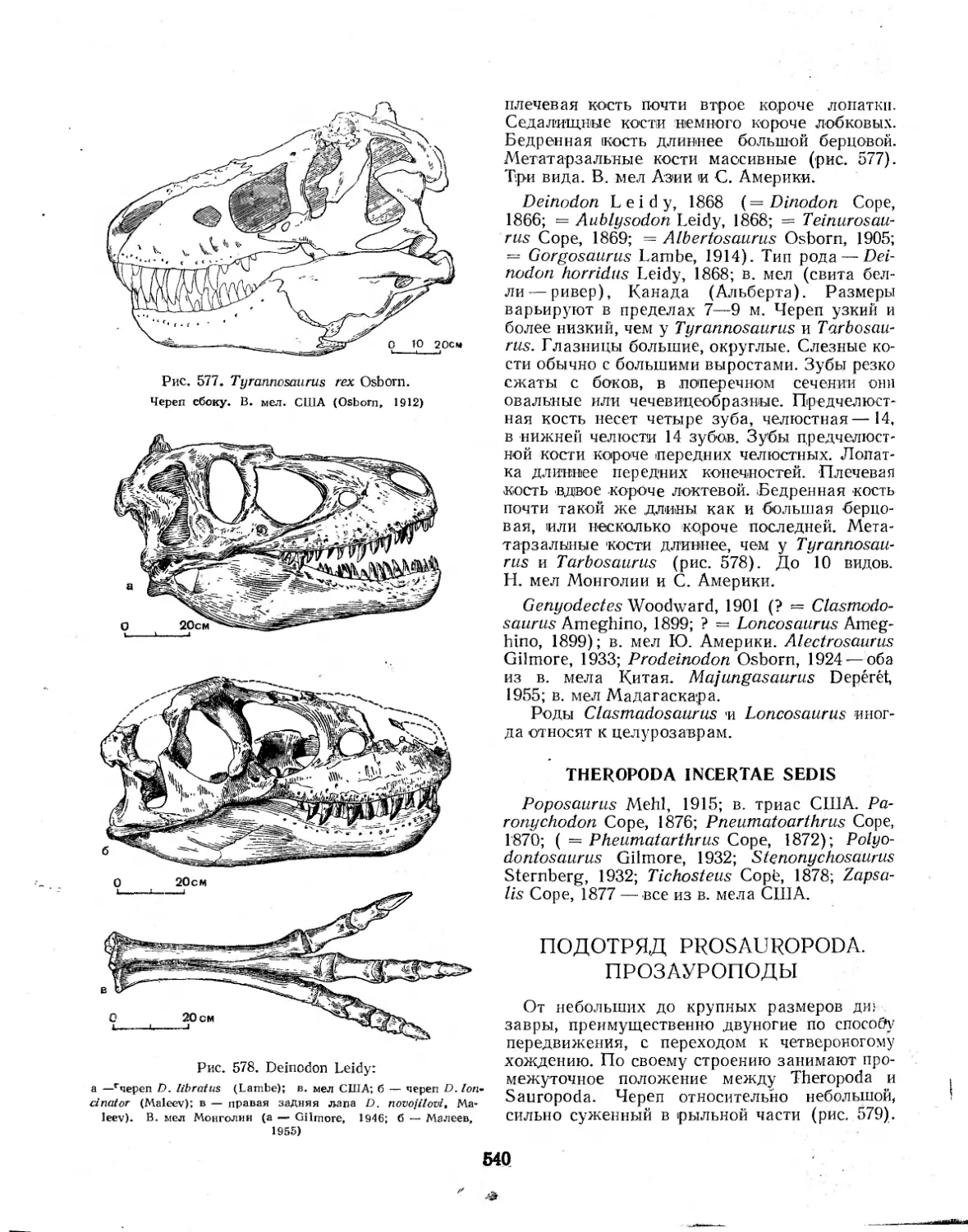 ПОДОТРЯД PROSAUROPODA. ПРОЗАУРОПОДЫ