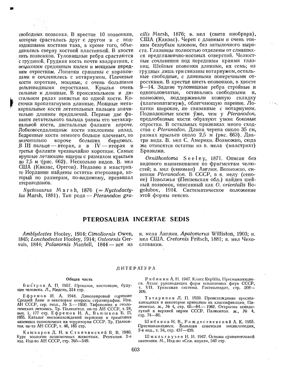 PTEROSAURIA INCERTAE SEDIS
ЛИТЕРАТУРА