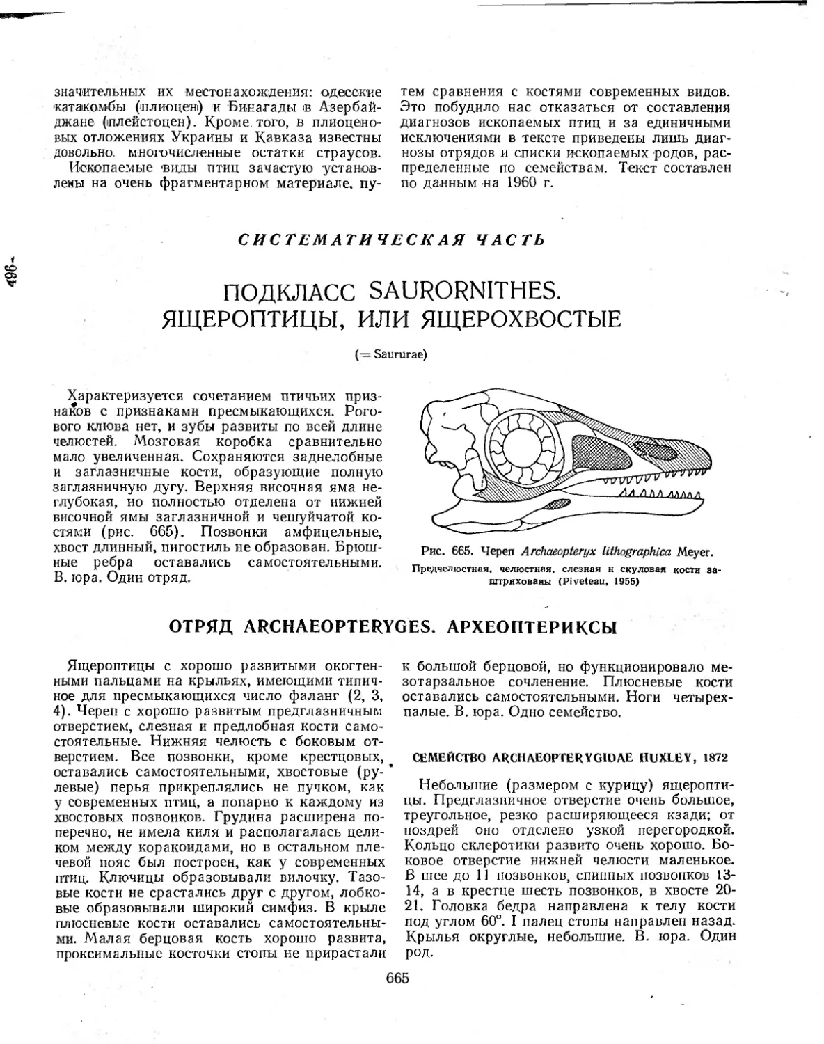 СИСТЕМАТИЧЕСКАЯ ЧАСТЬ