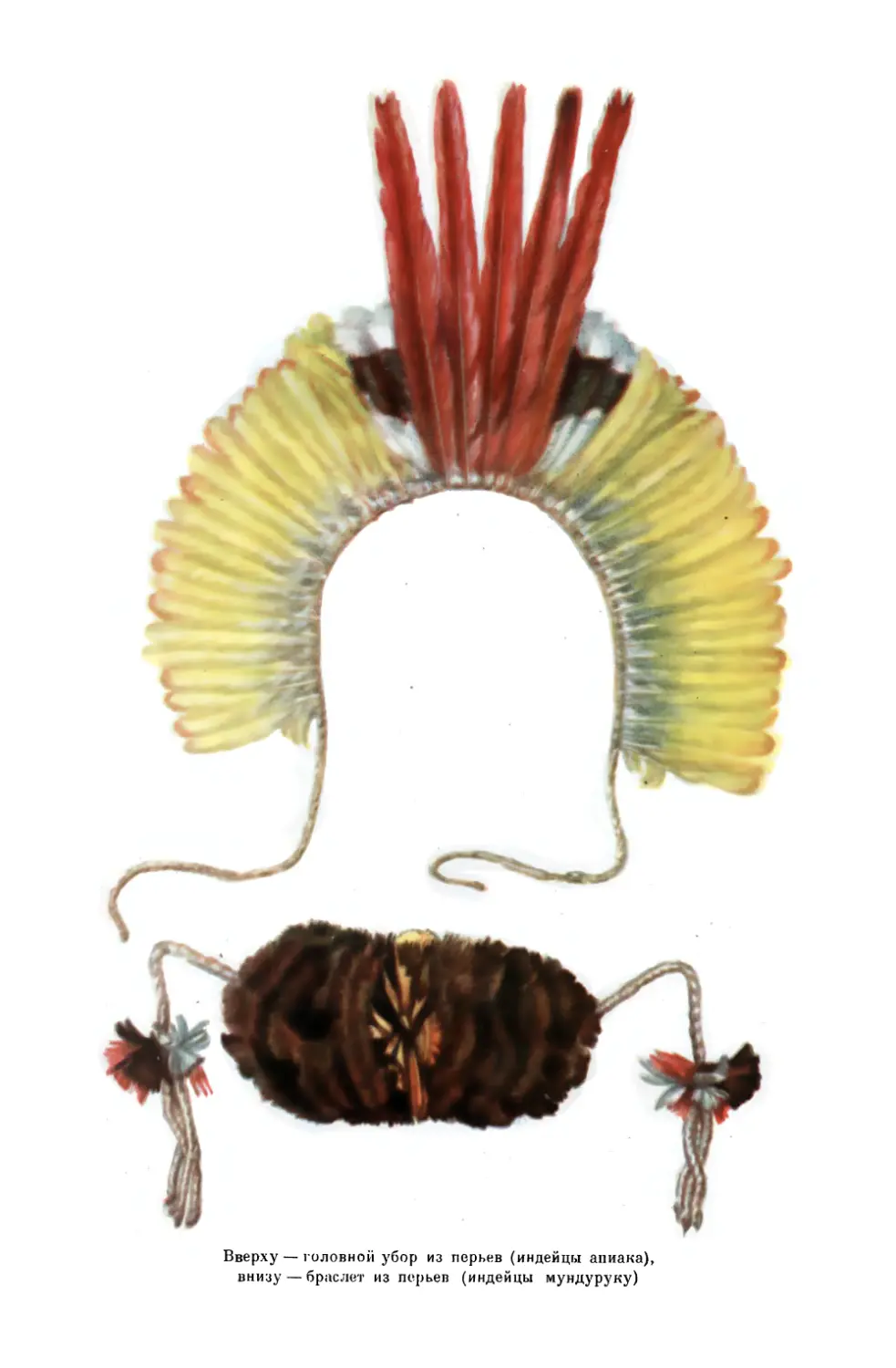 Вклейка. Головной убор из перьев, индейцы апиака; браслет из перьев, индейцы мундуруку