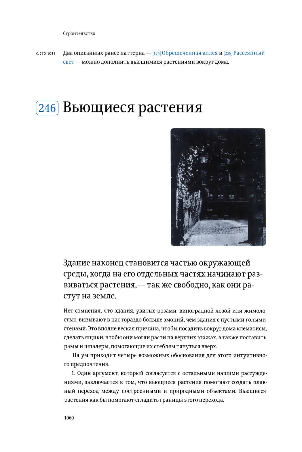 246. Вьющиеся растения