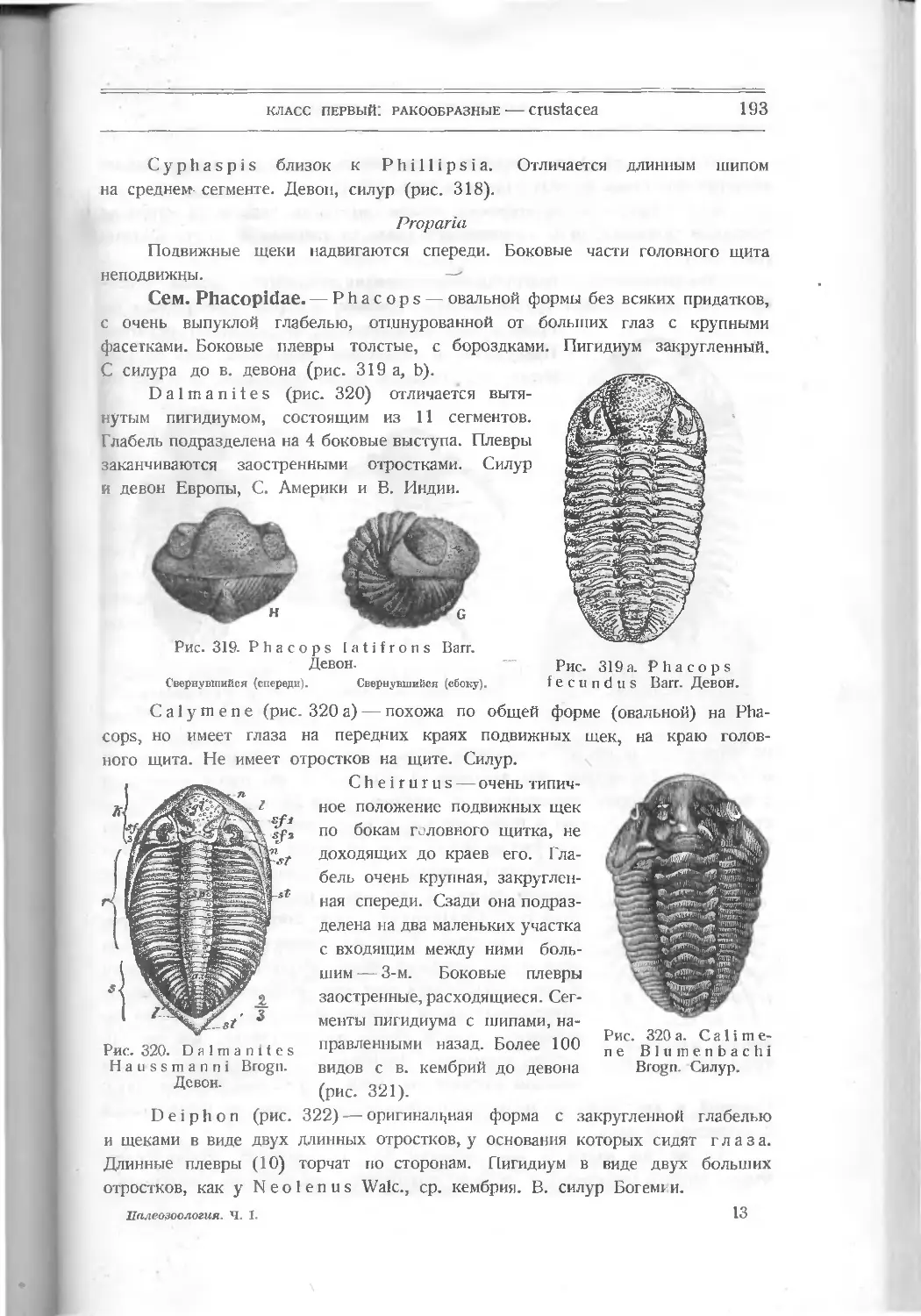 Proparia