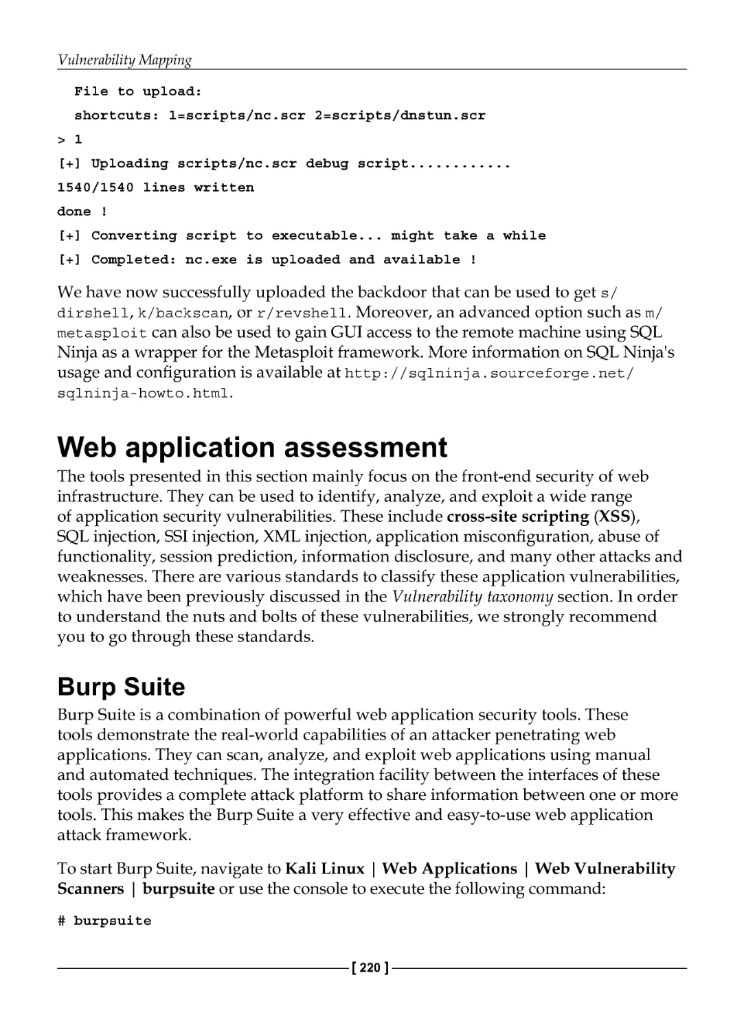 Web application assessment