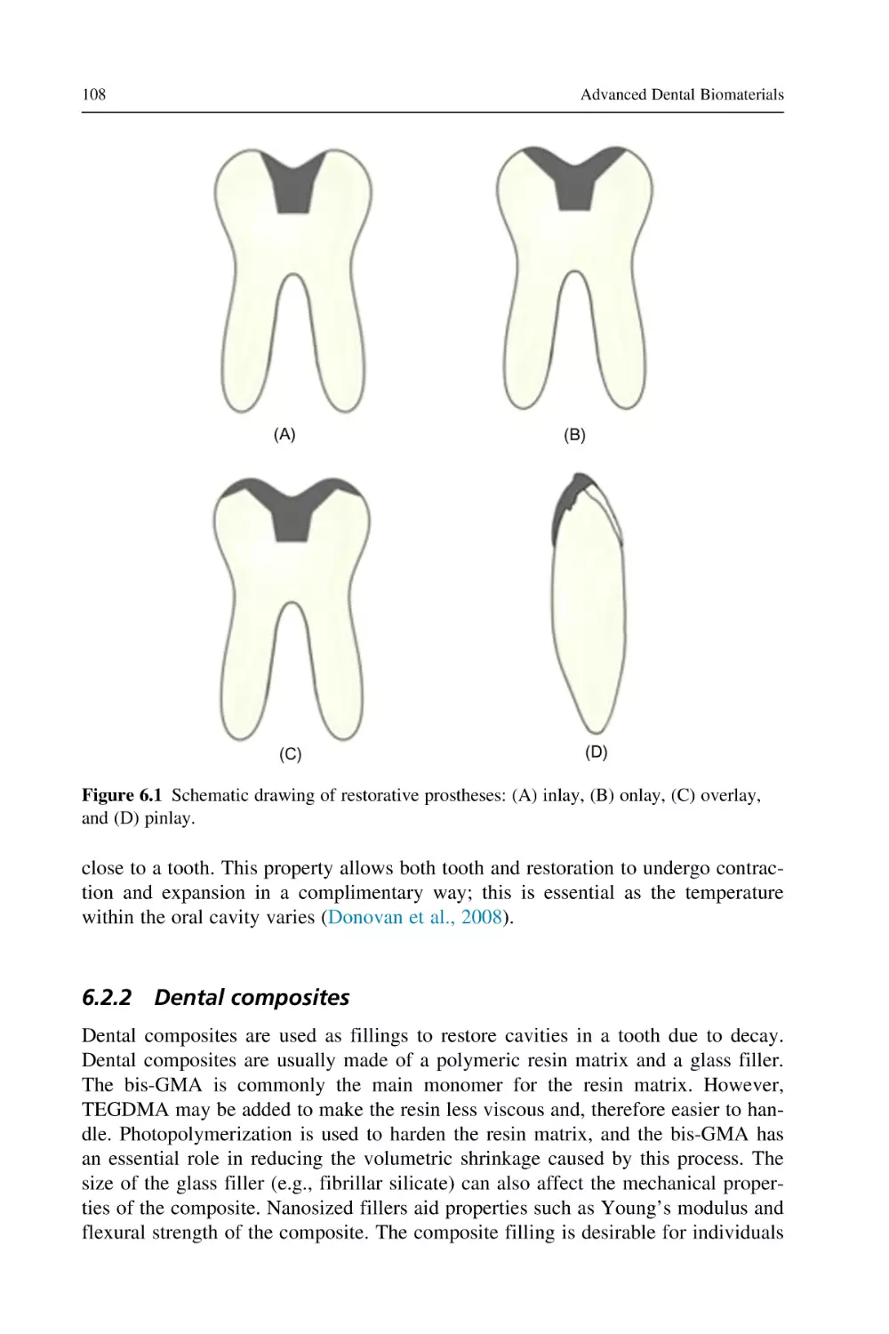 6.2.2 Dental composites