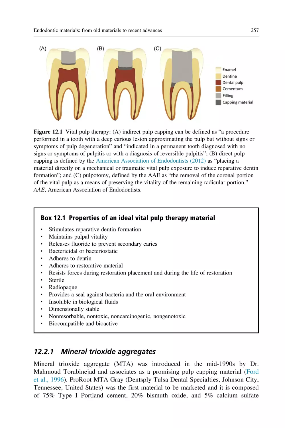 12.2.1 Mineral trioxide aggregates