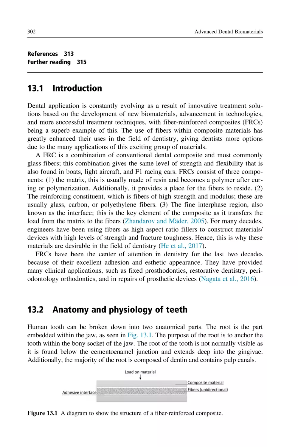 13.1 Introduction
13.2 Anatomy and physiology of teeth