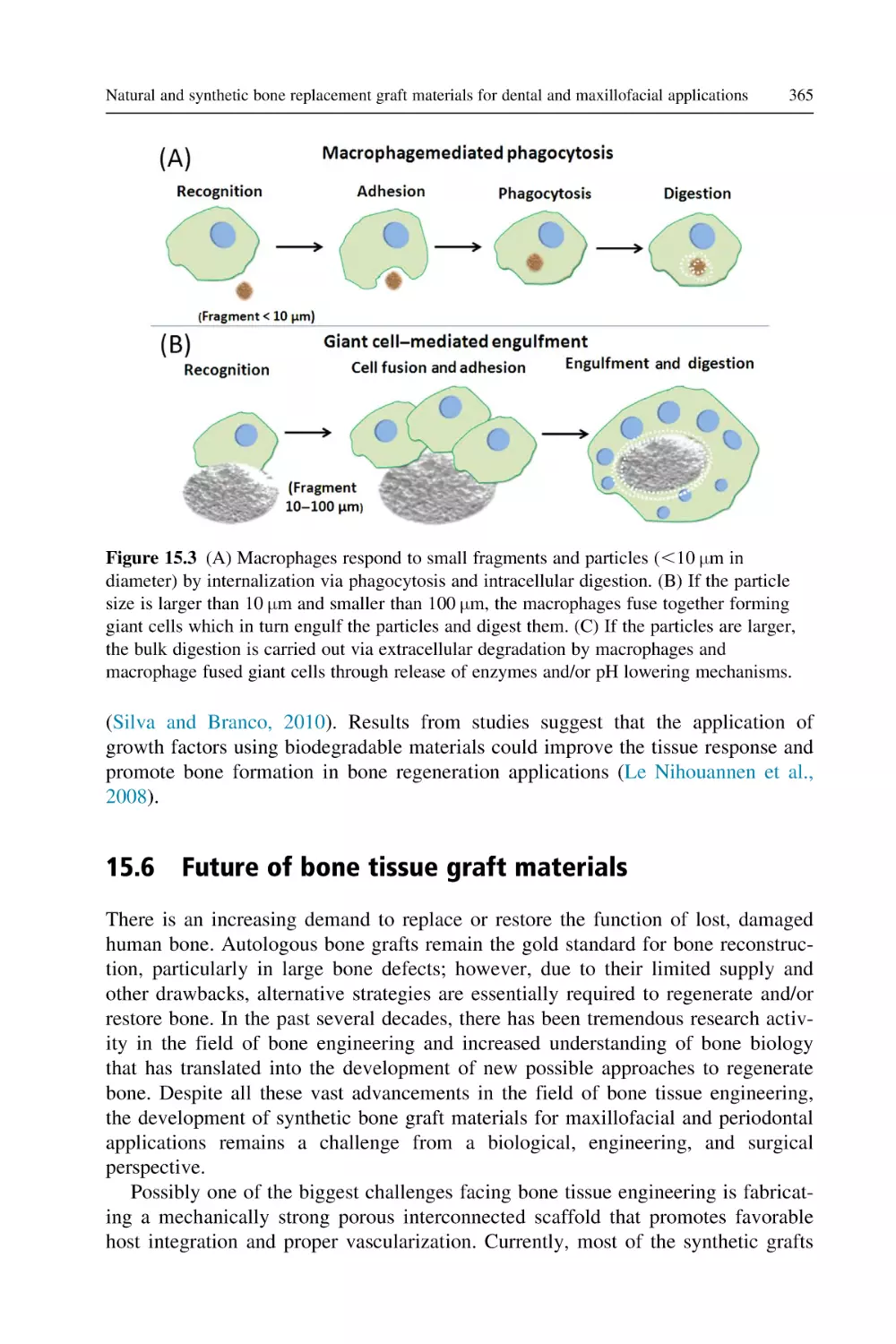 15.6 Future of bone tissue graft materials