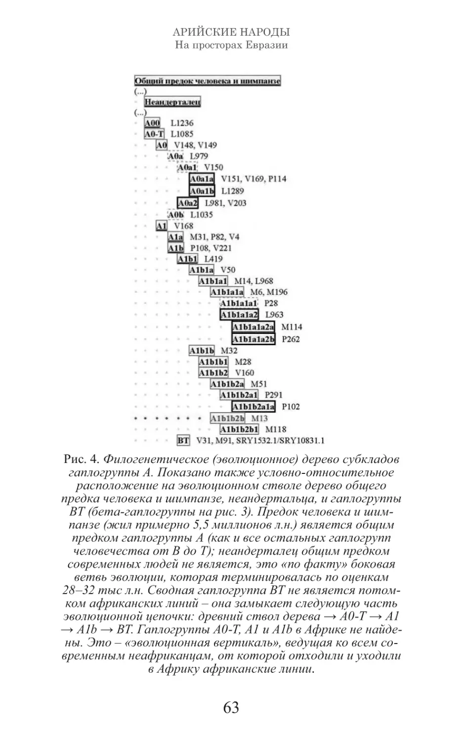 Арийские народы на просторах Евразии_64.pdf (p.64)