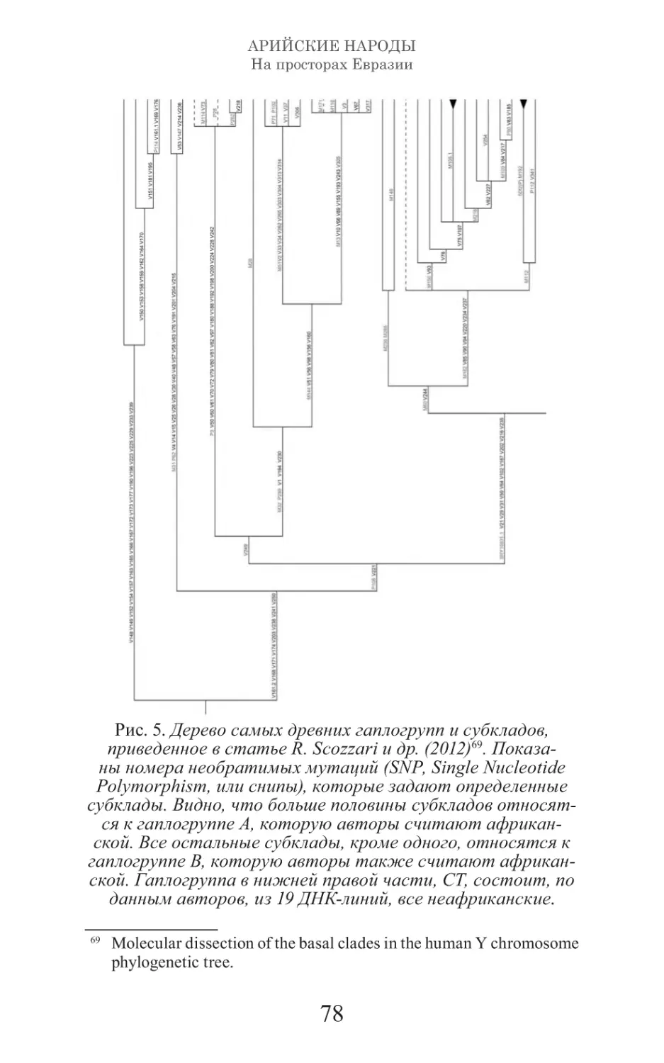 Арийские народы на просторах Евразии_79.pdf (p.79)