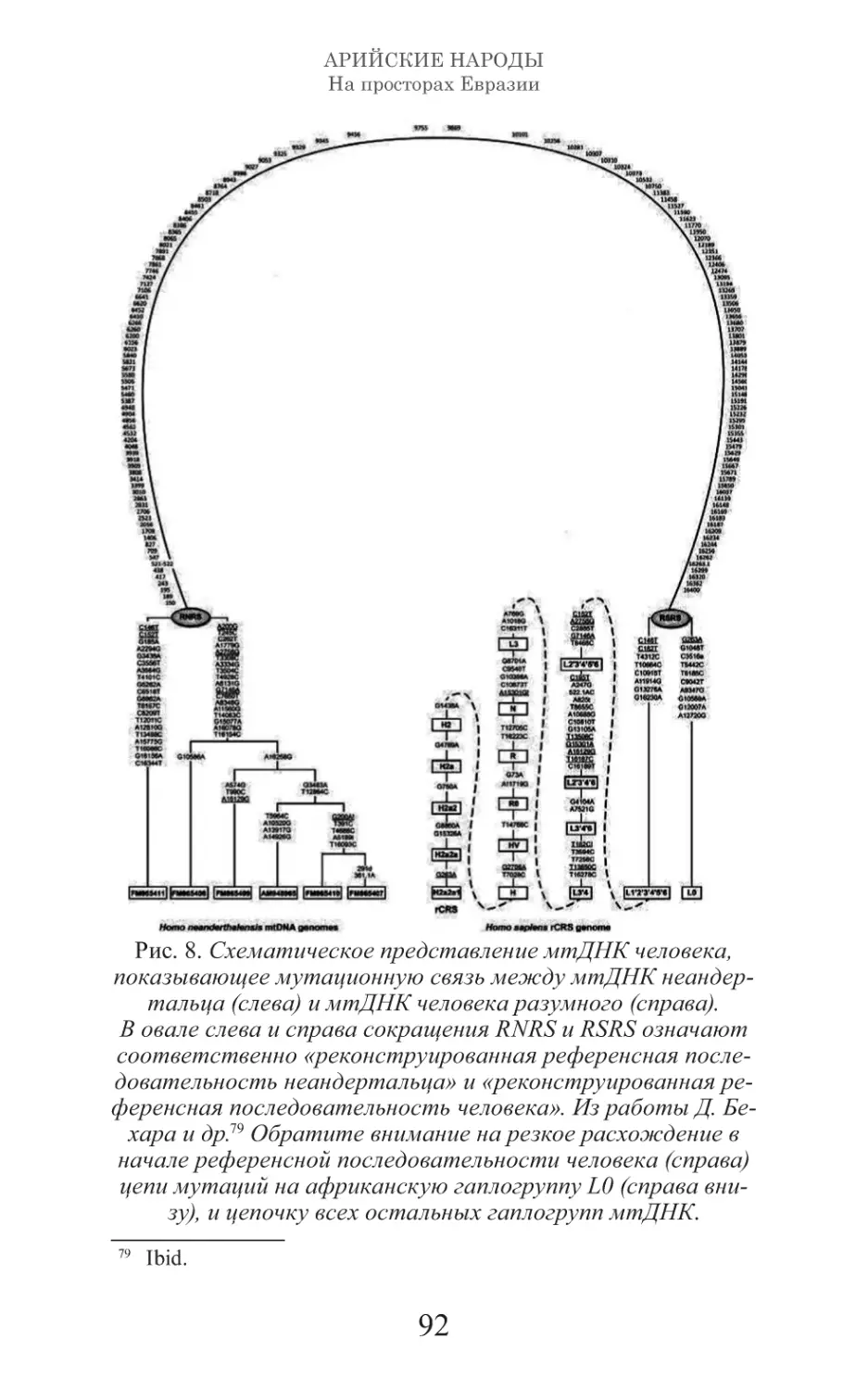 Арийские народы на просторах Евразии_93.pdf (p.93)