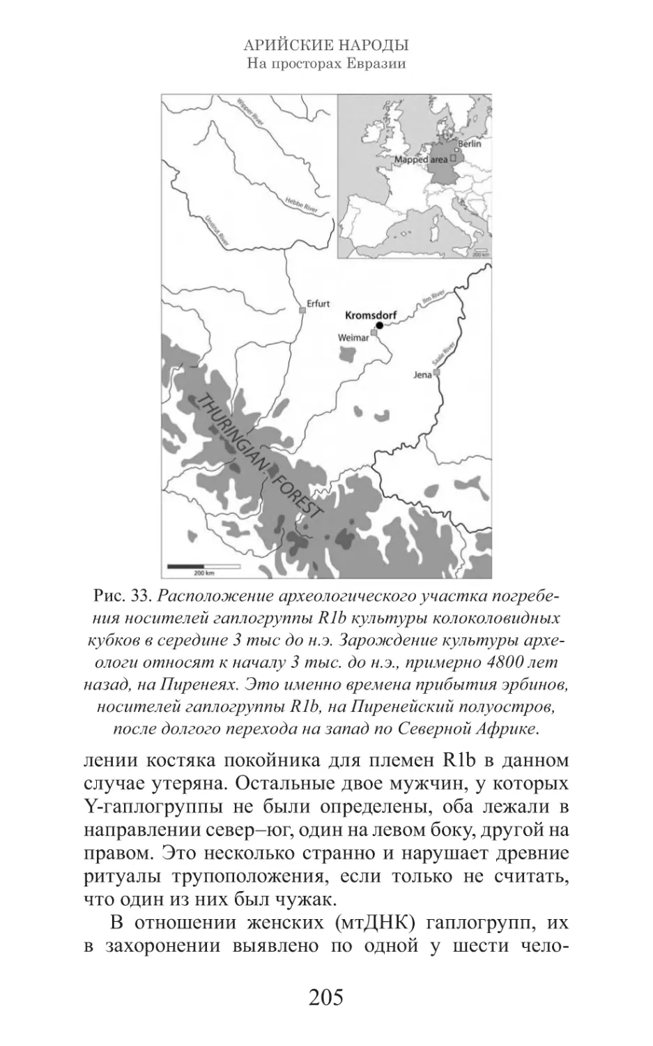 Арийские народы на просторах Евразии_206.pdf (p.206)