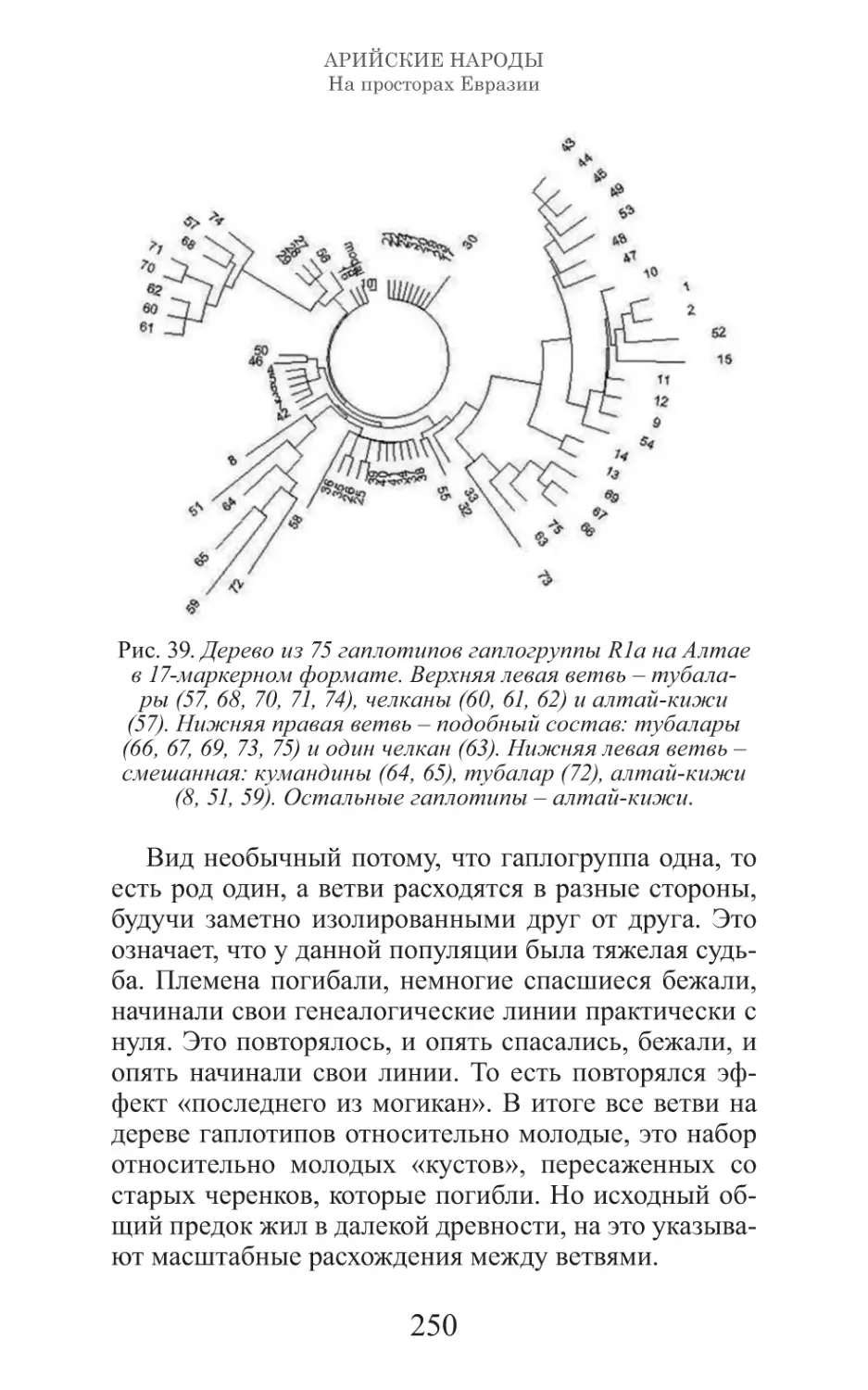 Арийские народы на просторах Евразии_251.pdf (p.251)