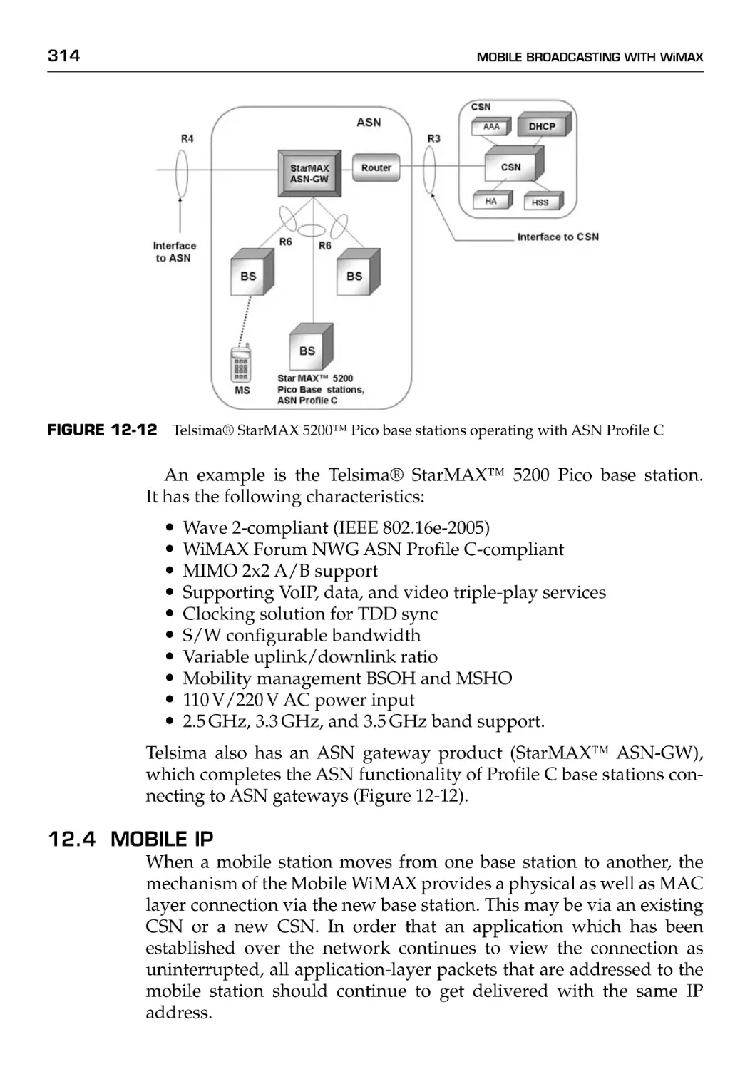 12.4 Mobile IP