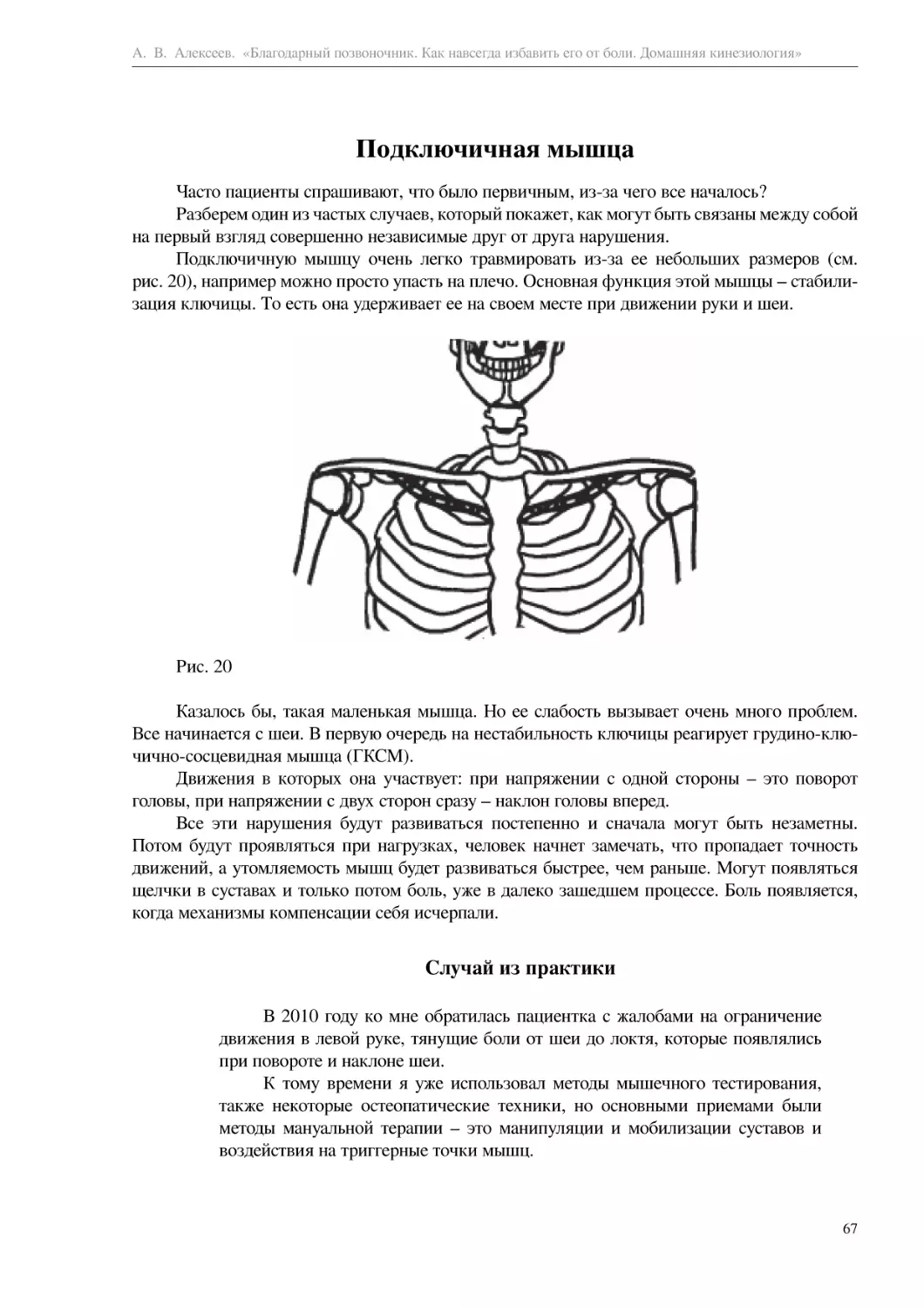 Подключичная мышца