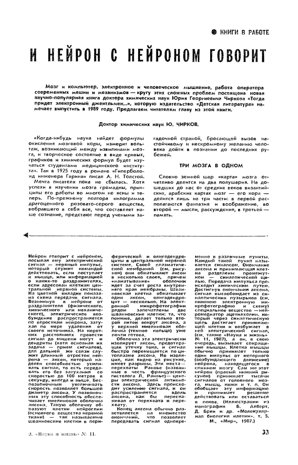 Ю. ЧИРКОВ, докт. хим. наук — И нейрон с нейроном говорит