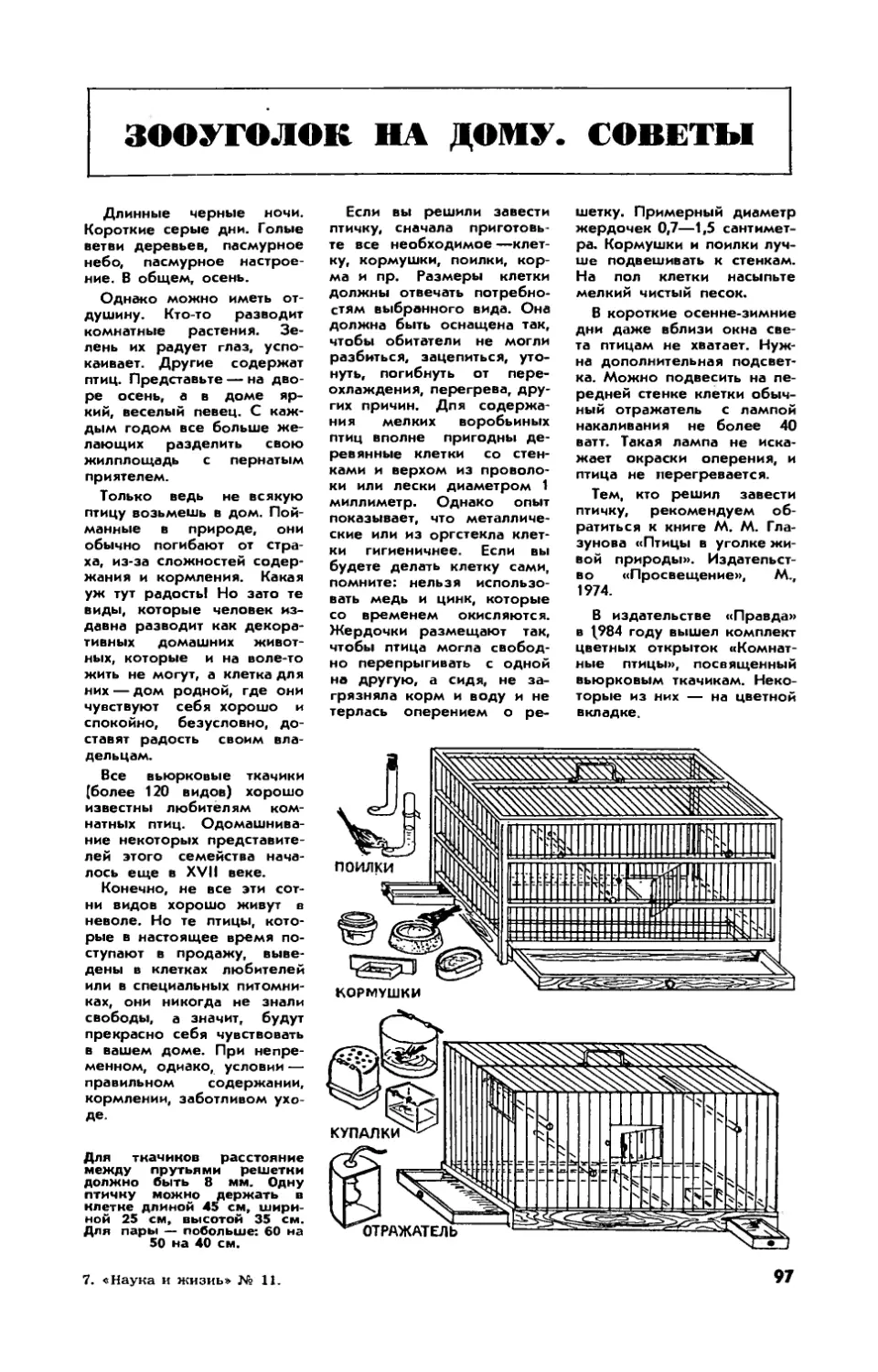 [Зооуголок на дому] — Советы