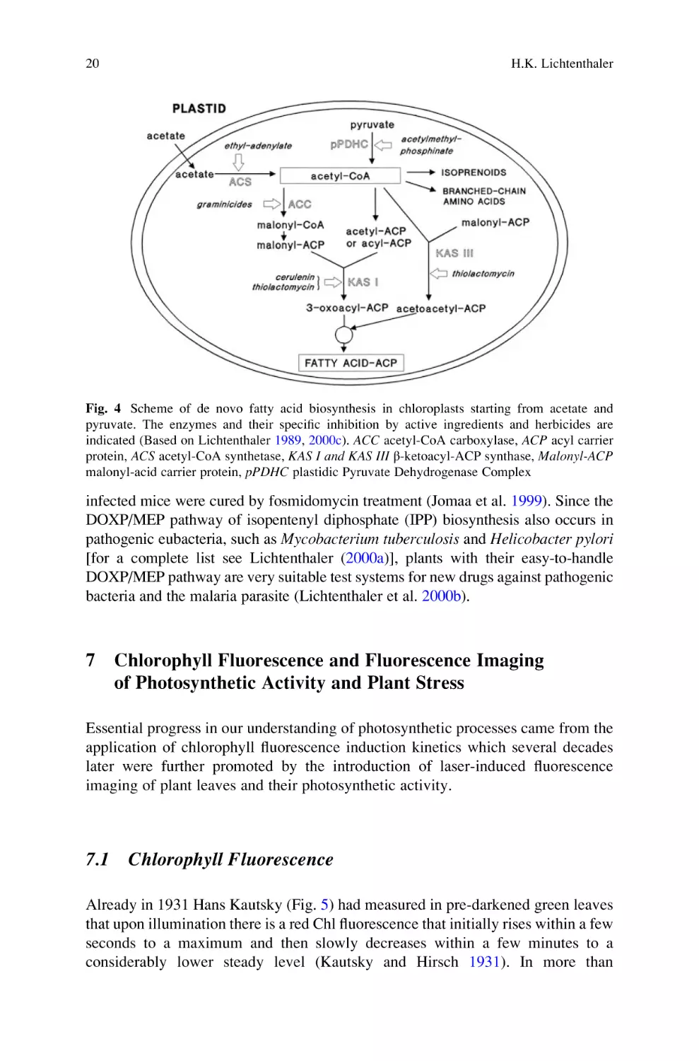 7 Chlorophyll Fluorescence and Fluorescence Imaging of Photosynthetic Activity and Plant Stress
7.1 Chlorophyll Fluorescence