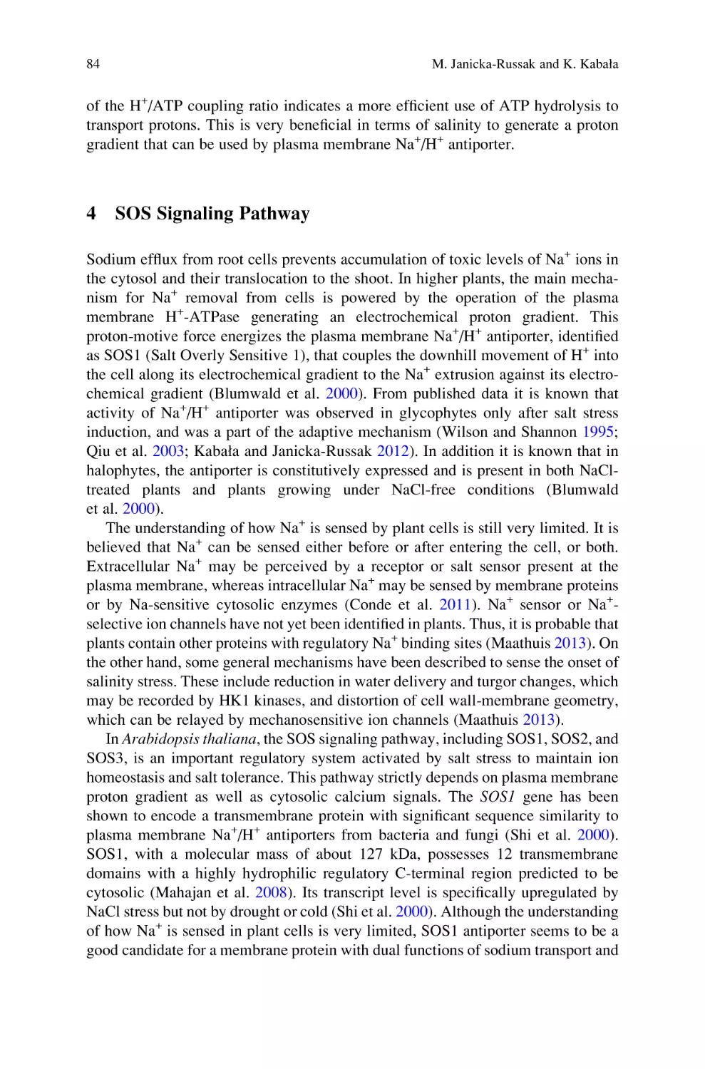 4 SOS Signaling Pathway