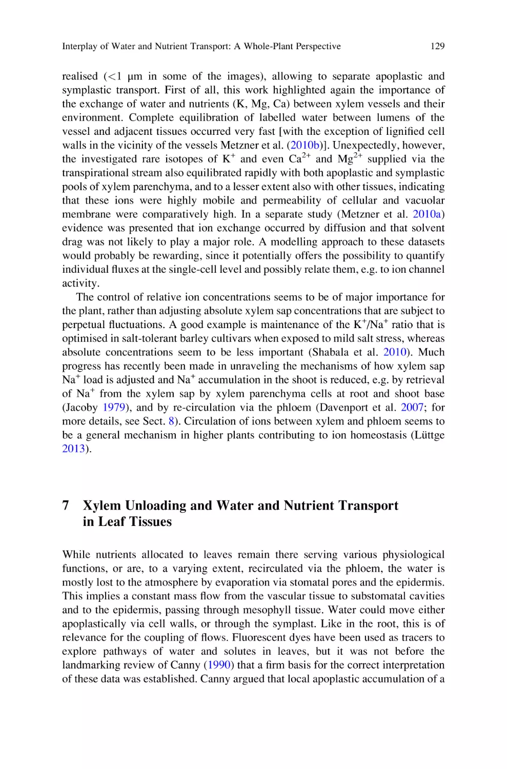 7 Xylem Unloading and Water and Nutrient Transport in Leaf Tissues