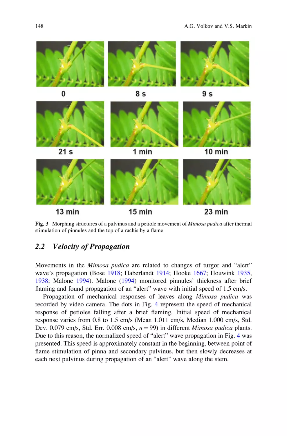 2.2 Velocity of Propagation