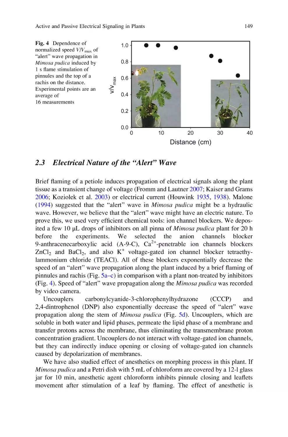 2.3 Electrical Nature of the ``Alert´´ Wave