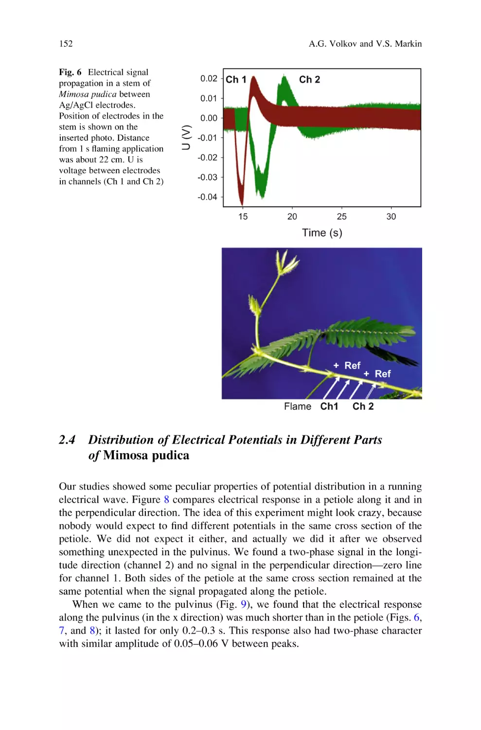 2.4 Distribution of Electrical Potentials in Different Parts of Mimosa pudica