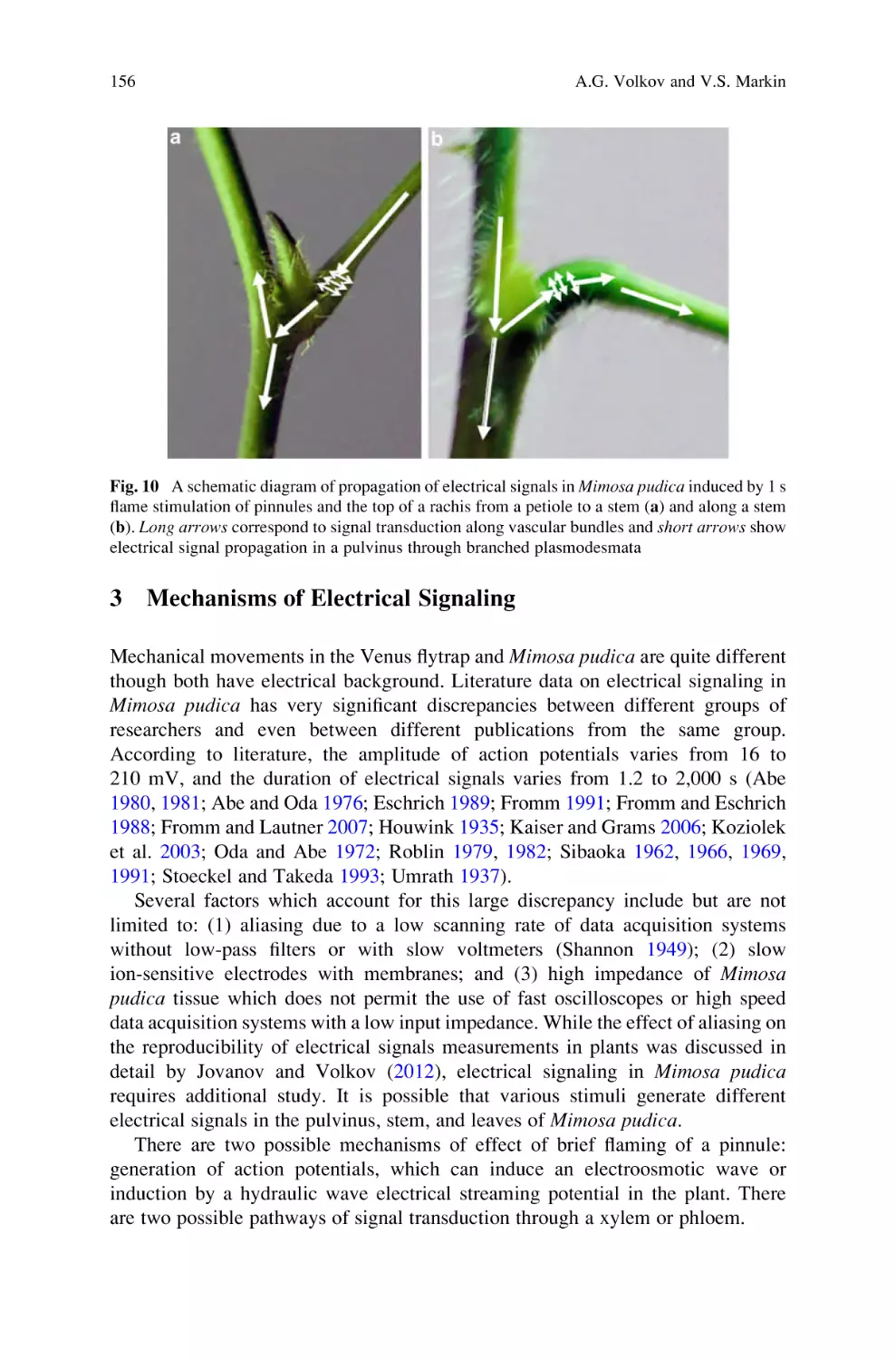 3 Mechanisms of Electrical Signaling