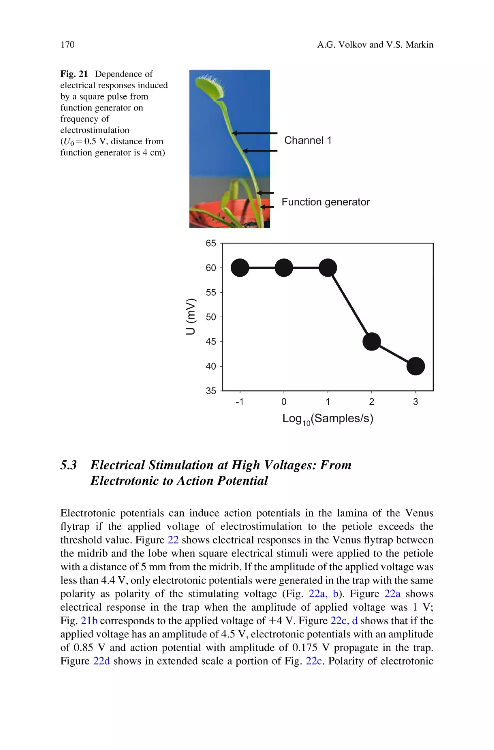 5.3 Electrical Stimulation at High Voltages