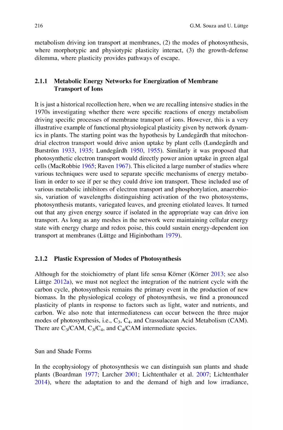 2.1.1 Metabolic Energy Networks for Energization of Membrane Transport of Ions
2.1.2 Plastic Expression of Modes of Photosynthesis
Sun and Shade Forms