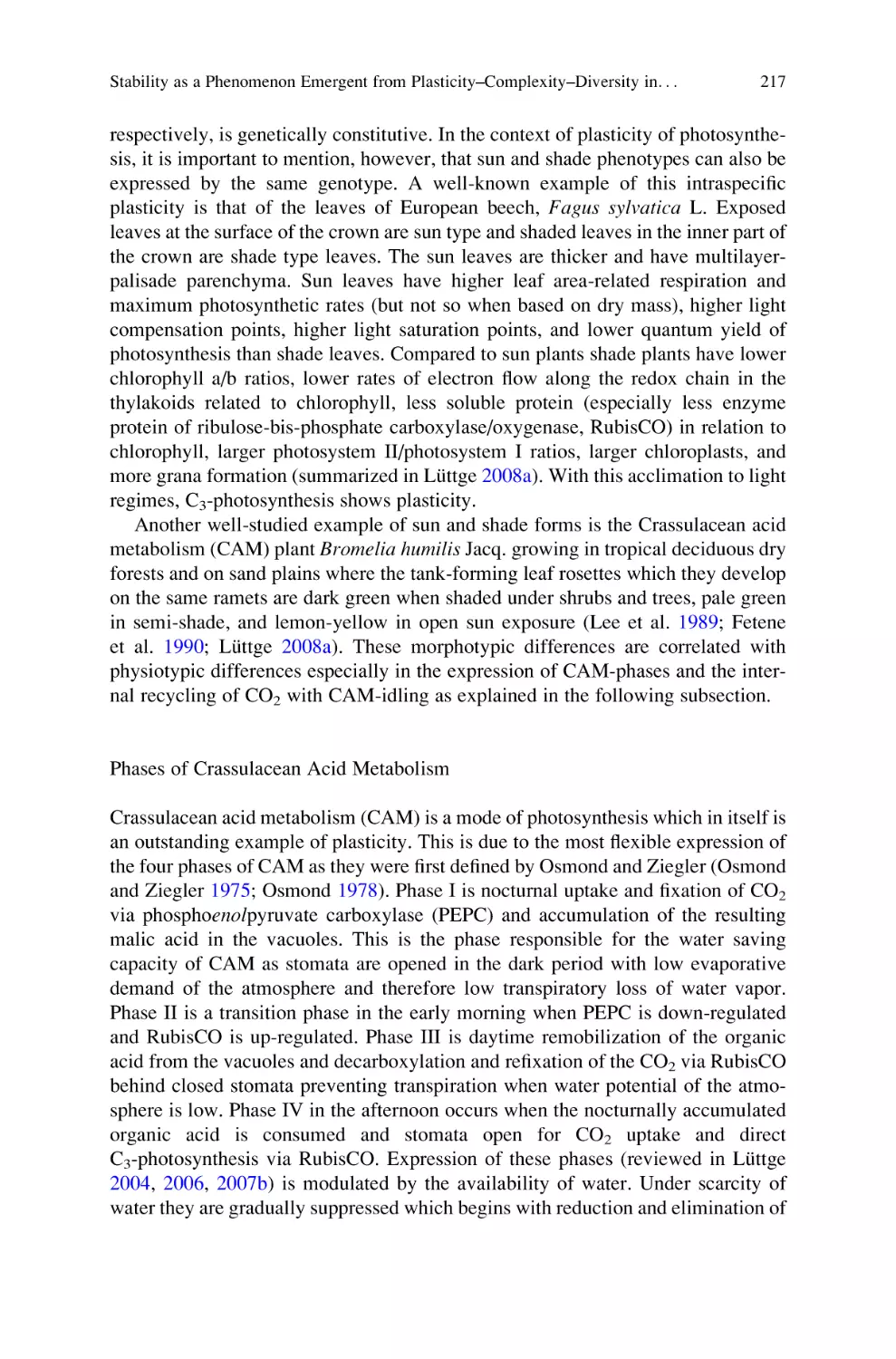 Phases of Crassulacean Acid Metabolism