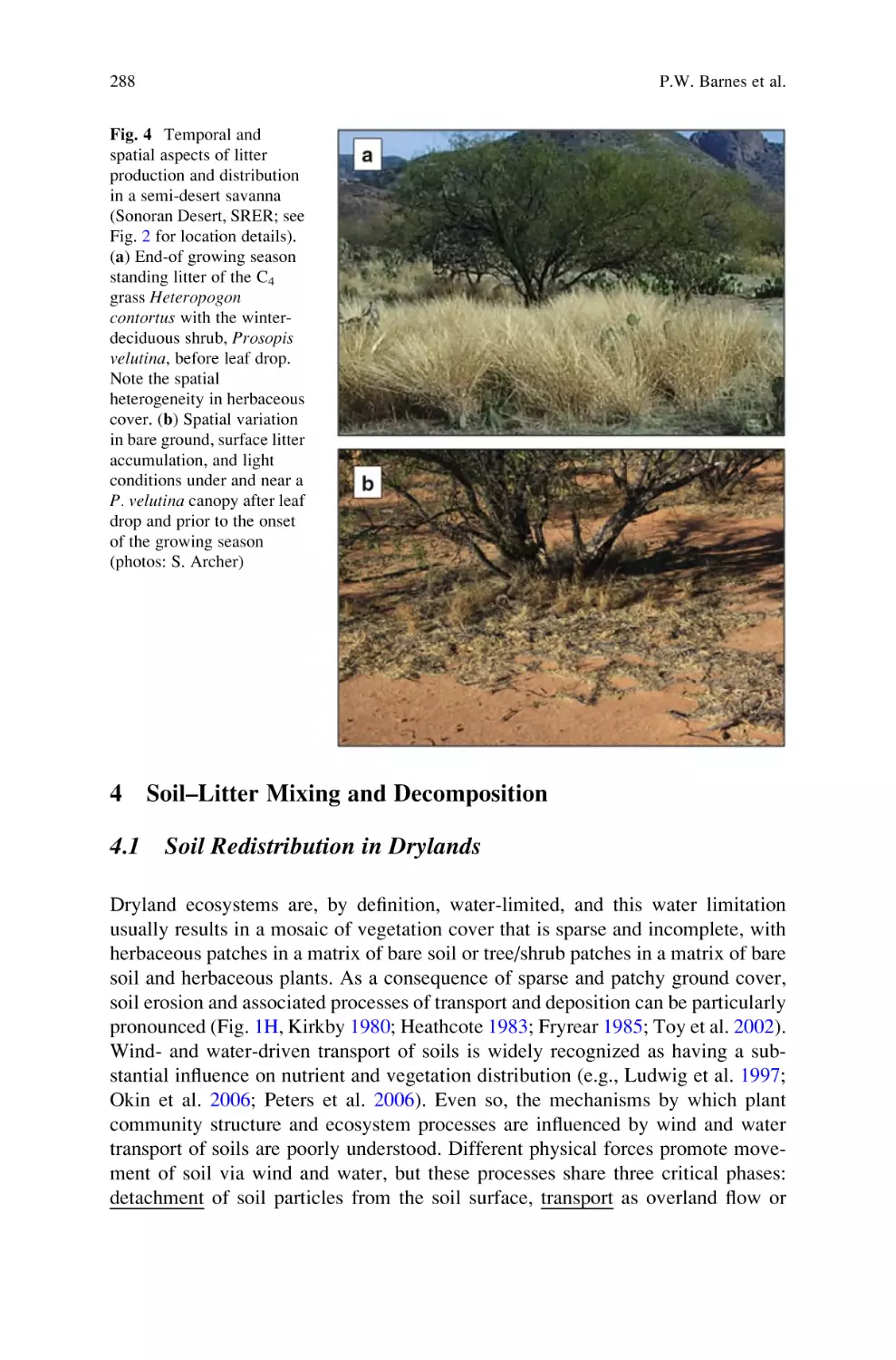 4 Soil-Litter Mixing and Decomposition
4.1 Soil Redistribution in Drylands