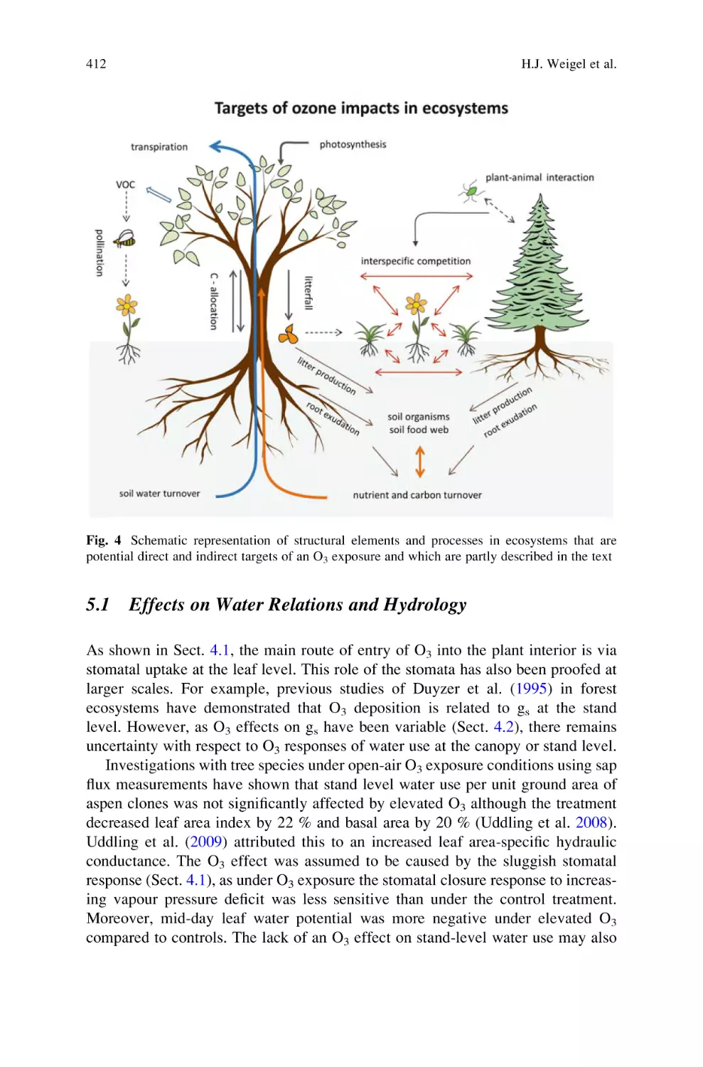 5.1 Effects on Water Relations and Hydrology