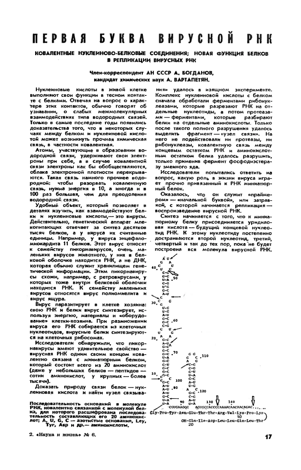 А. БОГДАНОВ, чл.-корр. АН СССР, А. ВАРТАПЕТЯН, канд. хим. наук — Первая буква вирусной РНК