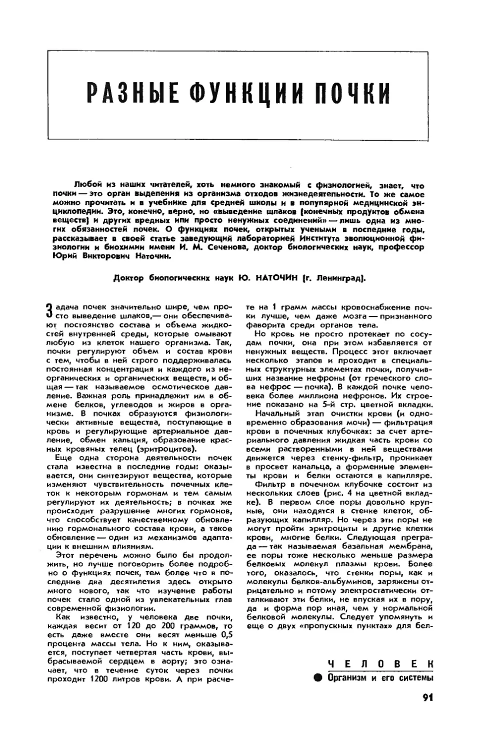 Ю. НАТОЧИН, докт. биол. наук — Разные функции почки