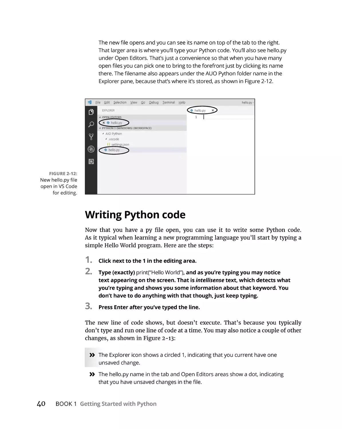 Writing Python code
