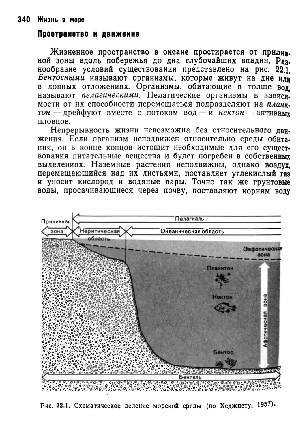 Пространство и движение