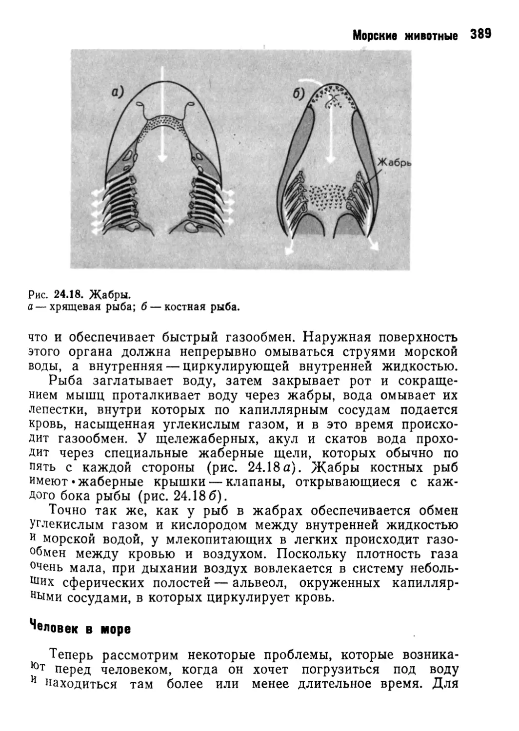 Человек в море